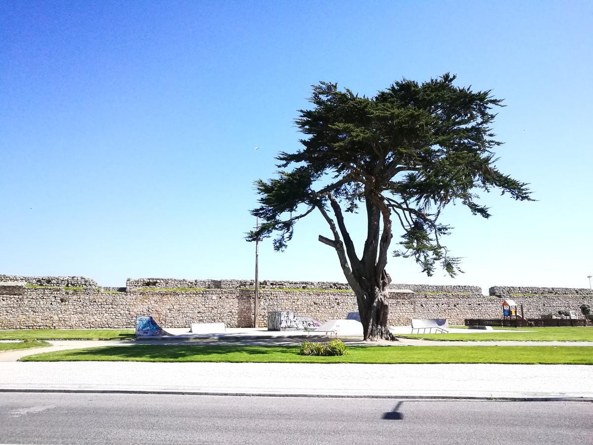 Peniche'S Blue & White Διαμέρισμα Εξωτερικό φωτογραφία